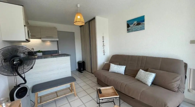 Appartement Argelès-sur-Mer, 1 pièce, 4 personnes - FR-1-225-91