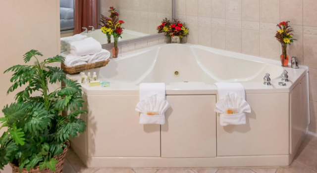 Люкс Holiday Inn - Belcamp - Aberdeen Area by IHG