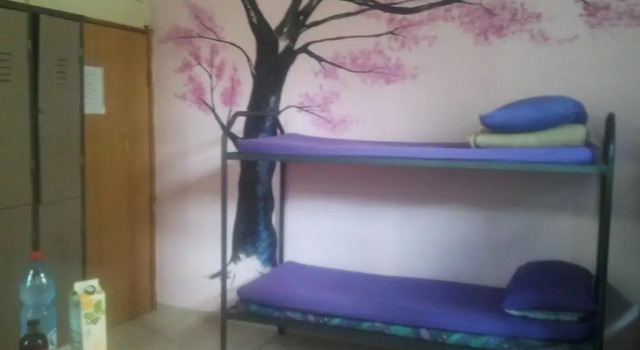 Cama en dormitorio compartido (dormitorio compartido femenino) Momos Hostel