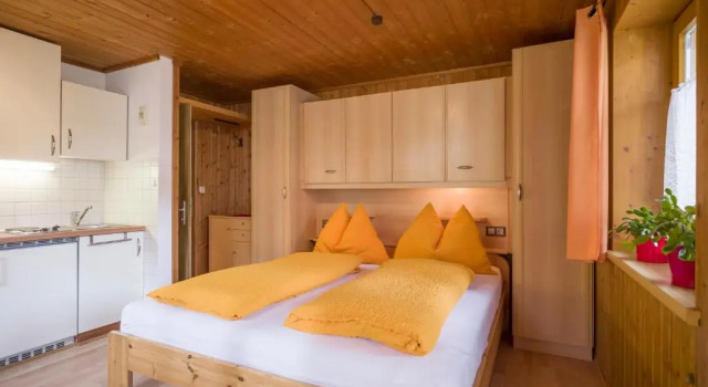 Студия Haus Gabriele Appartement Frederic by NV-Appartements