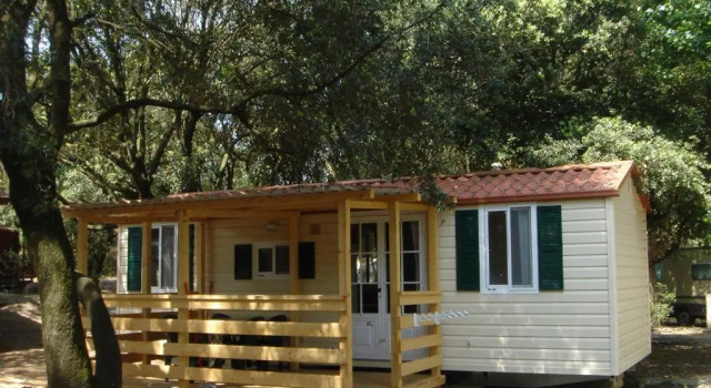 Номер Standard с красивым видом из окна Camping Internazionale Di Castelfusano