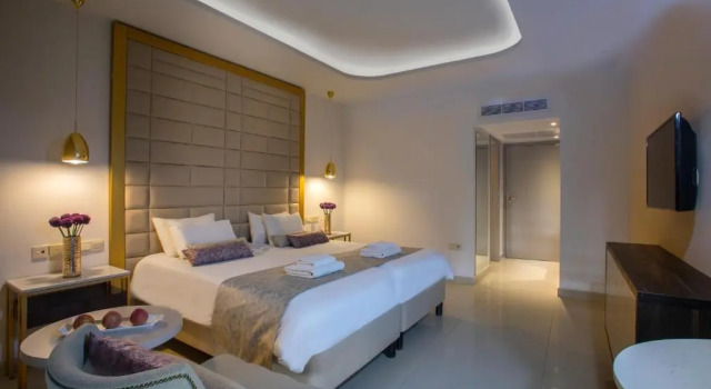 Habitación Estándar con vista al terreno Constantinos the Great Beach Hotel