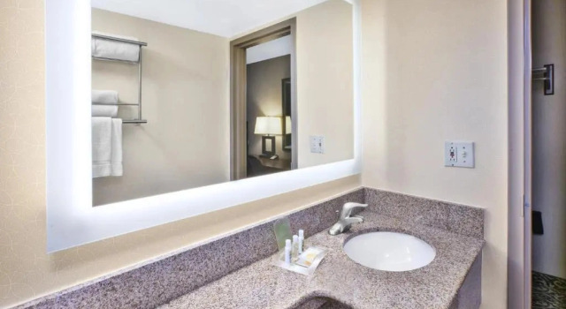 Трёхместный люкс Holiday Inn National Airport/Crystal City by IHG