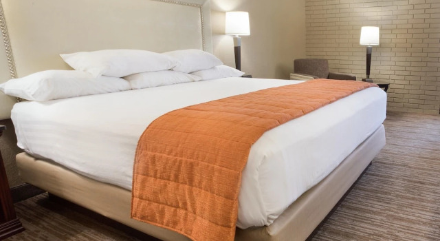 Номер Standard Drury Inn & Suites Greensboro