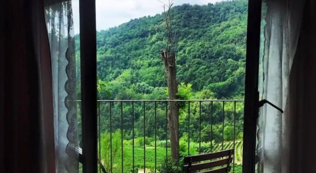 Двухместный номер Standard Cascina Bertolotto Wine Resort