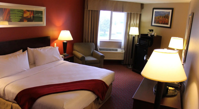 Номер Standard Holiday Inn Express & Suites Colorado Springs-Airport by IHG