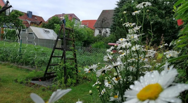 Апартаменты Barrierefreie Ferienwohnung im Harz - Schreiberstraße 28 Wernigerode