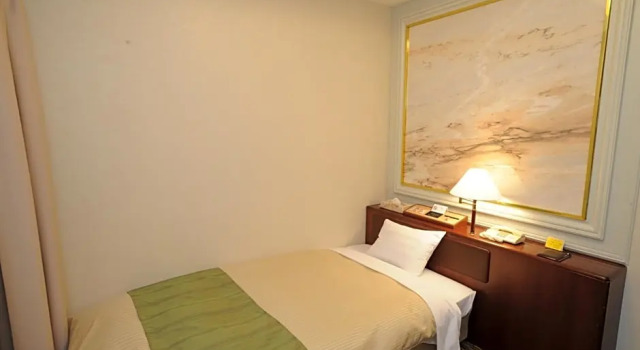 Одноместный номер Deluxe Hotel Sunny