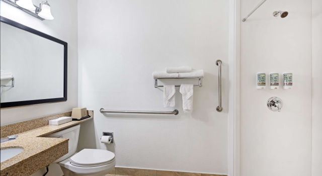 Двухместный номер Disability Access Best Western Des Plaines OHare