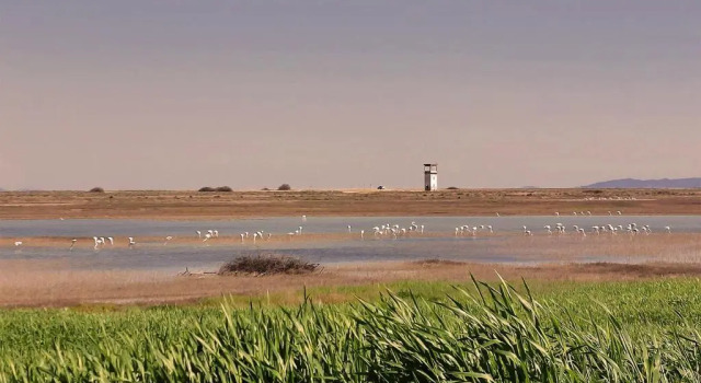 Полулюкс Flamingo View Suites & Villas