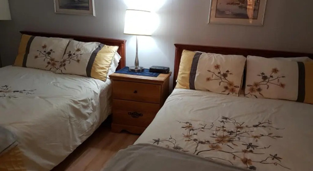 Номер Standard Pine cone Motel