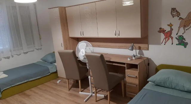 Apartment Davor