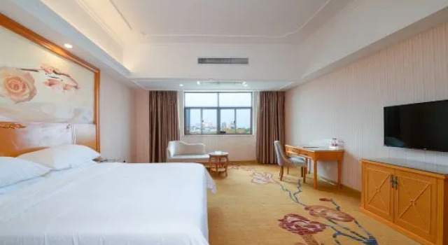 Люкс Deluxe Vienna Hotel Guangxi Tianyang Ancient City High-Speed Railway Station