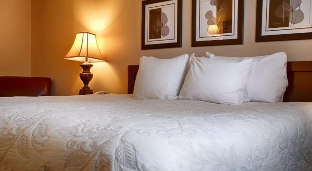 Номер Standard Silver Fox Inn