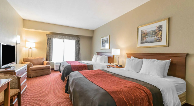 Четырёхместный номер Standard Comfort Inn & Suites