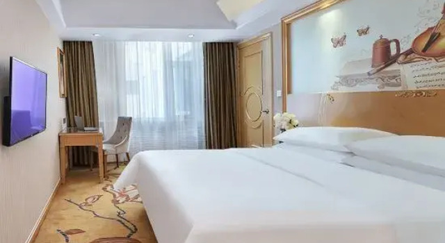 Люкс Deluxe Vienna Hotel (Linzi Railway Station)