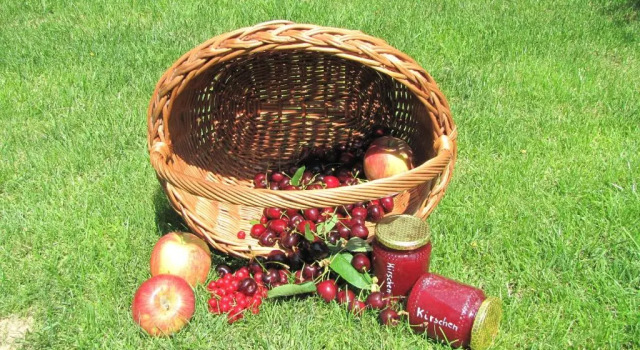 Апартаменты Ferienwohnungen Günzelgut