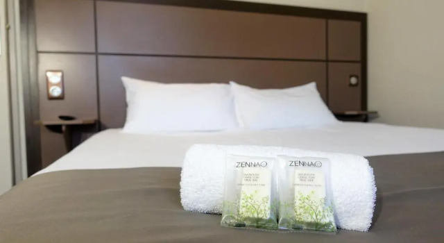 Номер Standard Hôtel Grand Confort Le Moulin Rouge
