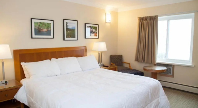 Номер Standard Twin Pine Inn & Suites