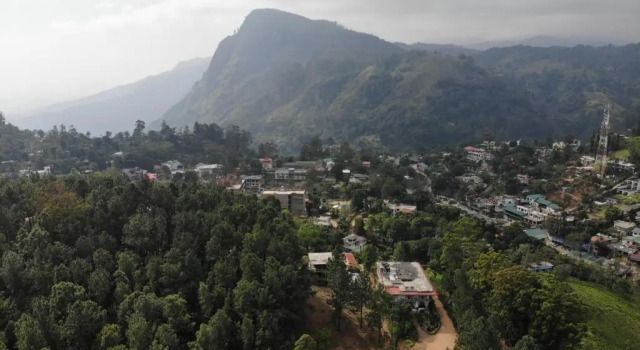 Номер Standard Forest Paddy Homestay