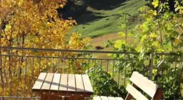 Appartements Garni Drei Wannen, Buchen Sie Hotel Damüls Bregenzerwald