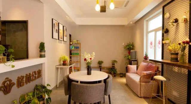 GreenTree Apartment Shanghai Zhongshan Bei Road, Varaa Huoneisto Jing'an 