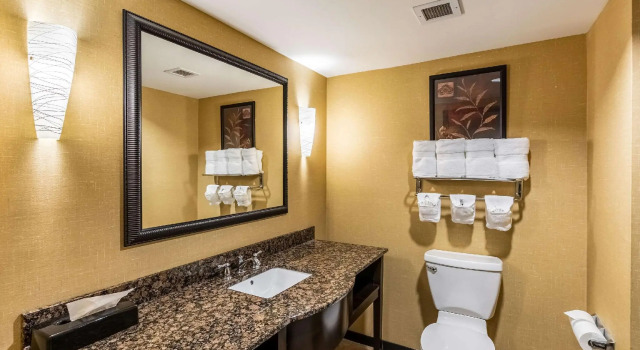 Люкс Отель Holiday Inn Express & Suites Lexington