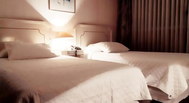 Двухместный номер Standard Gran Hotel Ambassador