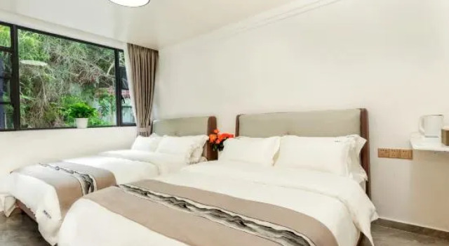 Люкс Shenzhen Chenxi Coast Homestay