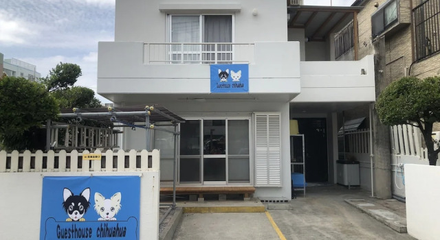 GuestHouse Chihuahua - Hostel, Book Hostel Hostels in Okinawa, Hostel