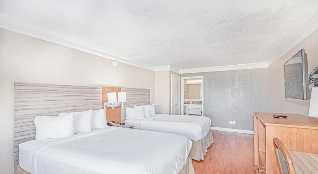 Четырёхместный номер Standard La Quinta Inn Tallahassee South