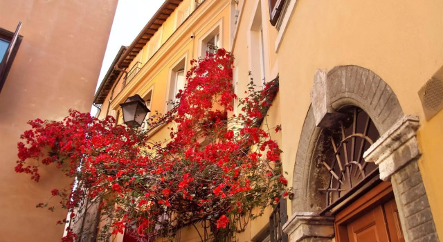 Residenza Il Bollo Holiday House