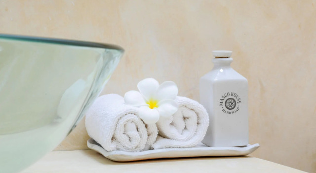 Двухместный номер Standard с балконом Mango House - Galle Fort