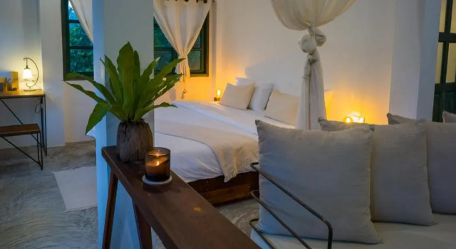 Студия Big Tree Boutique Hotel