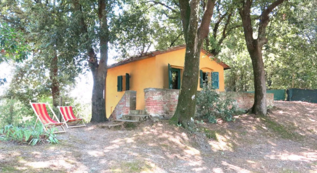 CASOTTINO