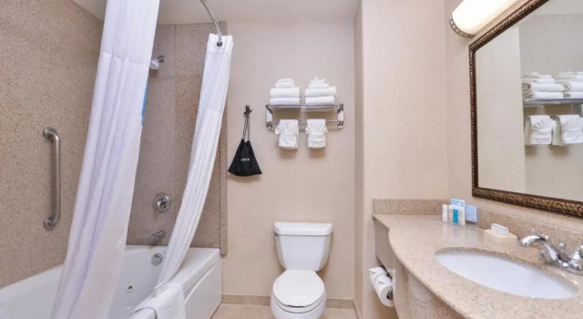 Люкс Hampton Inn & Suites Boise-Meridian