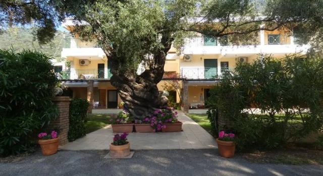 Апартаменты с 2 комнатами с видом на море Barbati Beach - Villa Zante