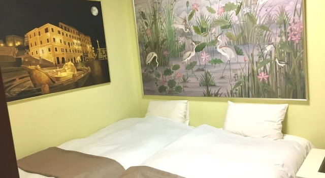 Номер Standard Oasis Minamiyukigaya
