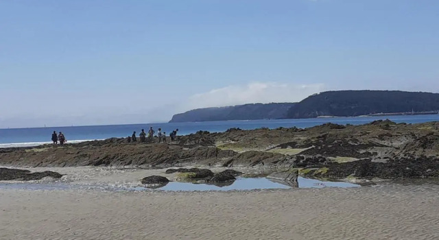 Коттедж Maison proche du bourg de Crozon et des plages de Morgat