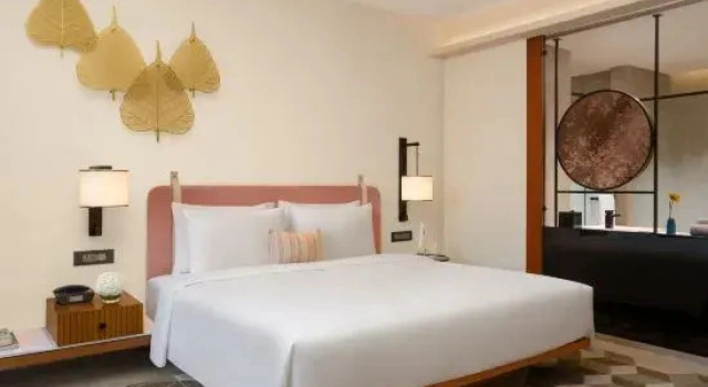 Одноместный номер Standard с балконом Hyatt Place Butwal