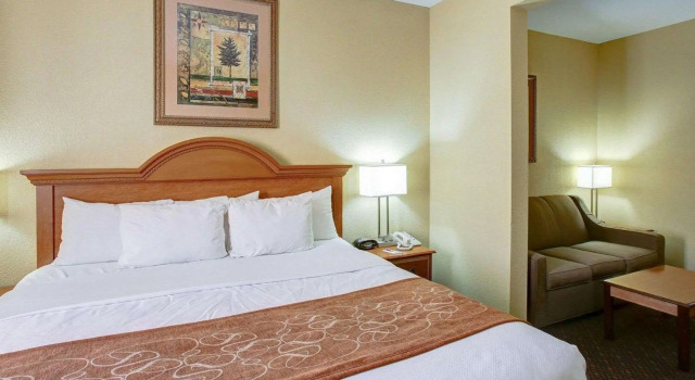 Люкс c 1 комнатой Comfort Suites Brenham