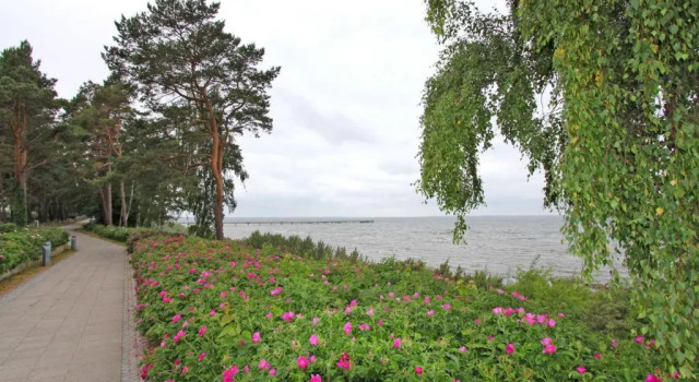 Ferienhaus Lubmin VORP 1451, Prenota Hotel Lubmin 