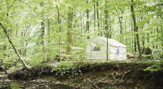 Tentrr - Creekside Woods Getaway, Prenota Appartamento Elverson Pennsylvania