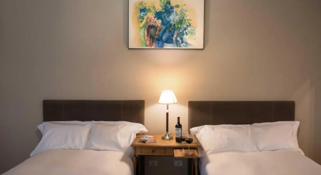 Двухместный номер Standard Postales Hotel Boutique Valle De Uco
