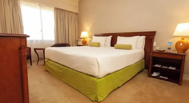 Двухместный люкс Austral Plaza Hotel