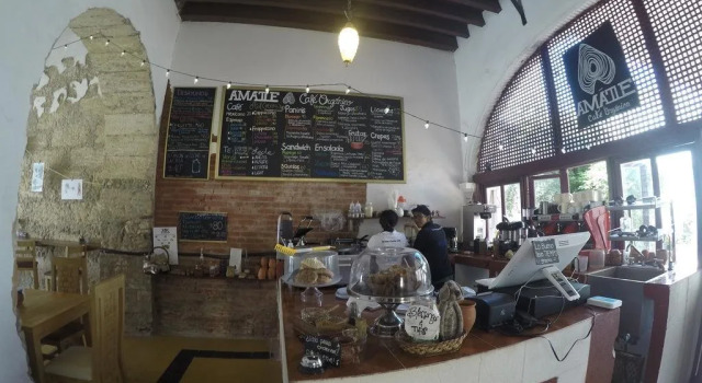 Amatle Cafe Organico & Hostel, Prenota Ostello Ostelli a Nuevo León, Ostello
