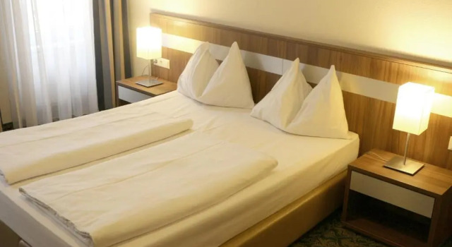 Одноместный номер Business Hotel Carina