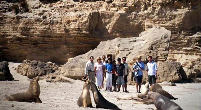 Seal Bay Cottages, Prenota Casa vacanze Seddon Australia