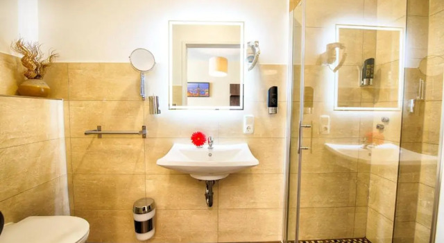 Номер Comfort Hotel Richter