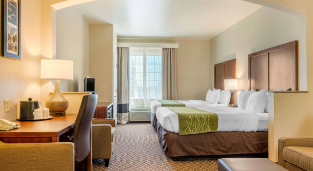Четырёхместный люкс Comfort Inn & Suites Galt - Lodi North